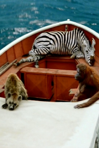 Life of Pi
